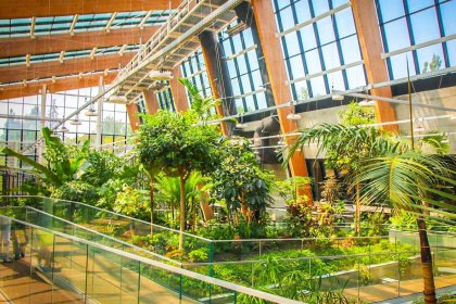 inny - Centrum Edukacji Ekologicznej Egzotarium - zdjęcie 8