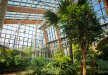 inny - Centrum Edukacji Ekologicznej Egzotarium - zdjęcie 10