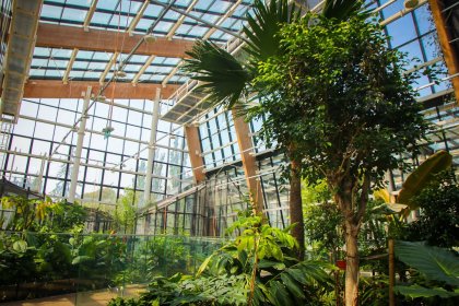 inny - Centrum Edukacji Ekologicznej Egzotarium - zdjęcie 10