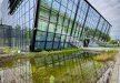 inny - Centrum Edukacji Ekologicznej Egzotarium - zdjęcie 7