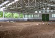 obiekt konferencyjny - Cracovia Arabians - zdjęcie 23