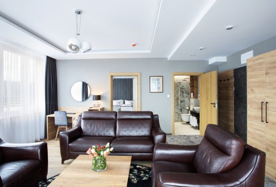 hotel **** - Beskid Balneo Medical Resort & SPA - Pokoje - zdjęcie 4