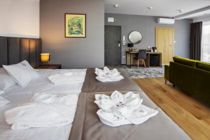 hotel **** - Beskid Balneo Medical Resort & SPA - zdjęcie 14