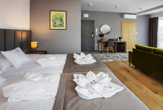 hotel **** - Beskid Balneo Medical Resort & SPA - Pokoje - zdjęcie 6