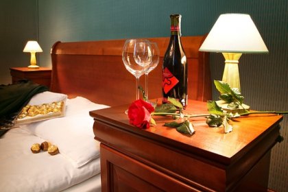 hotel **** - Zespół Zamkowo-Parkowy w Baranowie Sandomierskim - zdjęcie 8