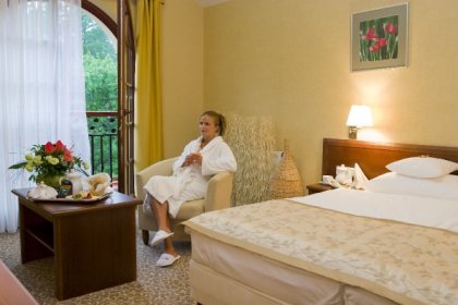 hotel *** - Hotel Centuria *** Wellness & SPA - zdjęcie 9
