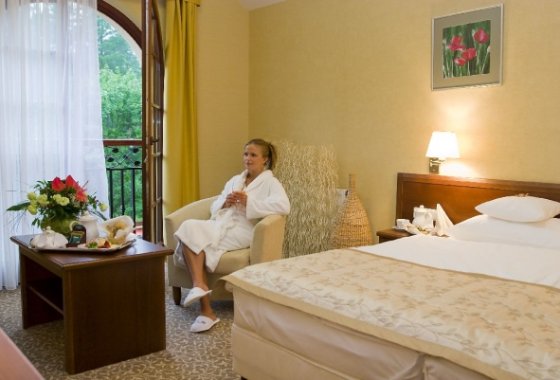 hotel *** - Hotel Centuria *** Wellness & SPA - Pokoje - zdjęcie 1