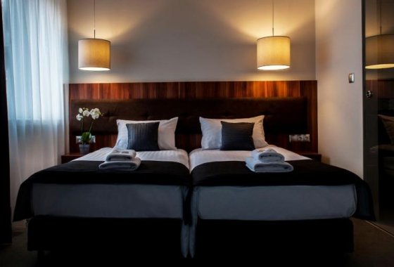 hotel - Hotel Trybunalski*** - Pokoje - zdjęcie 4