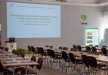 hotel - Agro Obiekt Hotelowy - zdjęcie 4