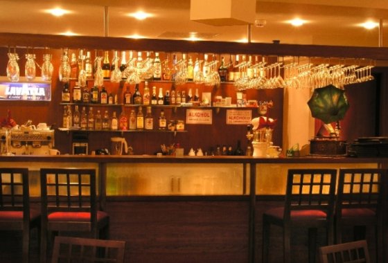 hotel *** - Hotel Zdrojowy Pro-Vita - Usługi - zdjęcie 1