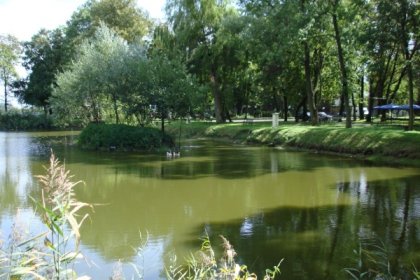 obiekt konferencyjny - Hotel - Restauracja Pałac Nieznanice - zdjęcie 2