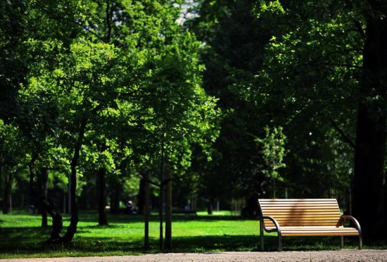 hotel *** - Hotel Konstancja - Usługi - zdjęcie 4