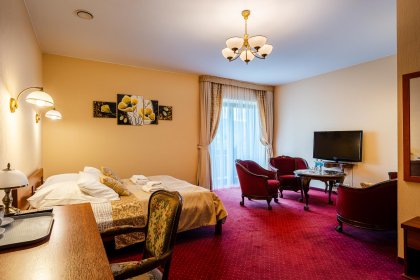 hotel *** - Hotel na Błoniach - zdjęcie 26