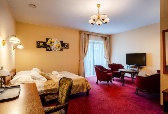 hotel *** - Hotel na Błoniach - Pokoje - zdjęcie 15