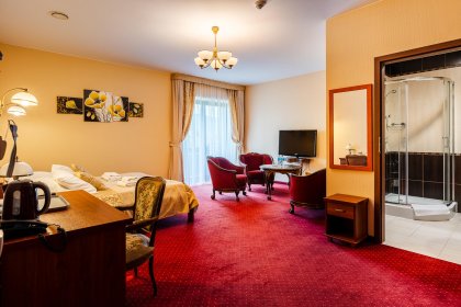 hotel *** - Hotel na Błoniach - zdjęcie 27