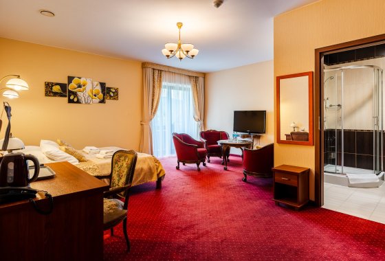 hotel *** - Hotel na Błoniach - Pokoje - zdjęcie 16