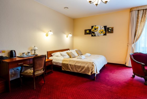 hotel *** - Hotel na Błoniach - Pokoje - zdjęcie 17