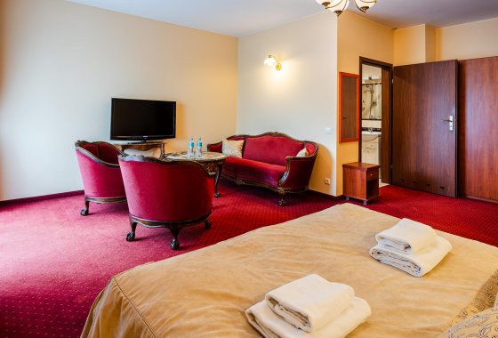 hotel *** - Hotel na Błoniach - Pokoje - zdjęcie 18