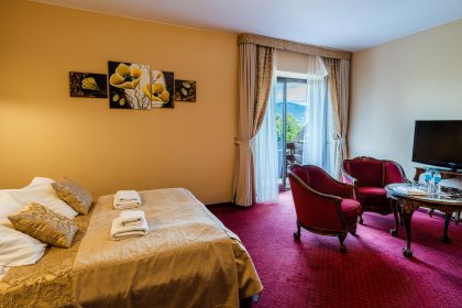 hotel *** - Hotel na Błoniach - zdjęcie 31