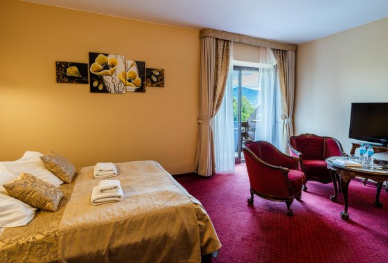 hotel *** - Hotel na Błoniach - Pokoje - zdjęcie 11