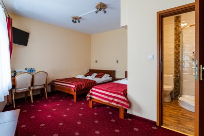 hotel *** - Hotel na Błoniach - zdjęcie 21