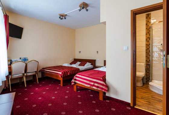 hotel *** - Hotel na Błoniach - Pokoje - zdjęcie 3