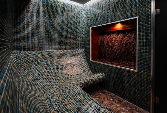 hotel *** - Hotel na Błoniach - Usługi - zdjęcie 12