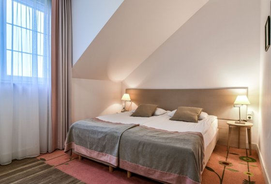 pałac - Hotel SPA Wieniawa - Pokoje - zdjęcie 1