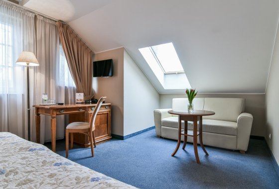 pałac - Hotel SPA Wieniawa - Pokoje - zdjęcie 2