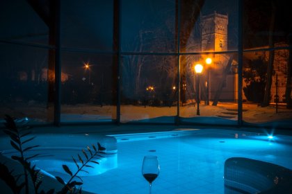 pałac - Hotel SPA Wieniawa - zdjęcie 20