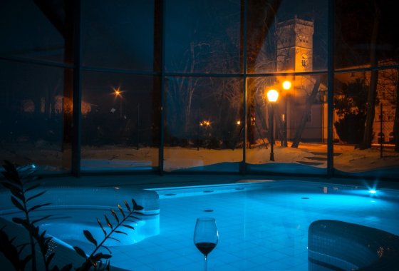 pałac - Hotel SPA Wieniawa - Usługi - zdjęcie 2