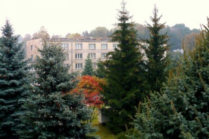obiekt konferencyjny - Ośrodek Szkoleniowo-Wypoczynkowy OENiPAS w Czudcu - zdjęcie 3