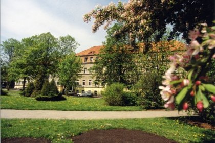 hotel *** - Hotel Centrum - zdjęcie 7