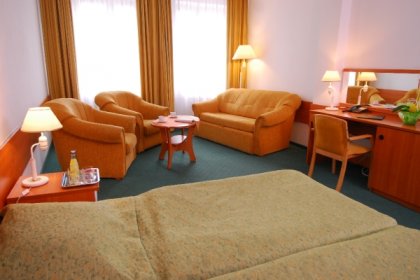 hotel *** - Hotel Centrum - zdjęcie 12