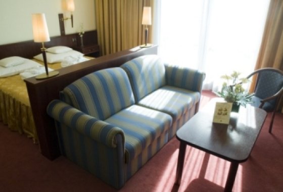 hotel **** - Park Hotel Vienna - Pokoje - zdjęcie 2