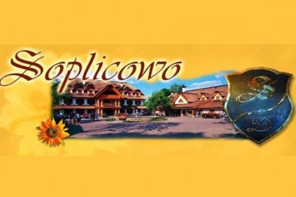 dworek - Soplicowo Spa & Wellness - zdjęcie 2