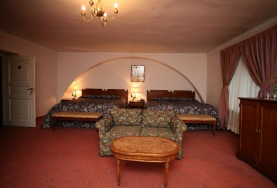 hotel **** - Pałac w Paszkówce - Pokoje - zdjęcie 1
