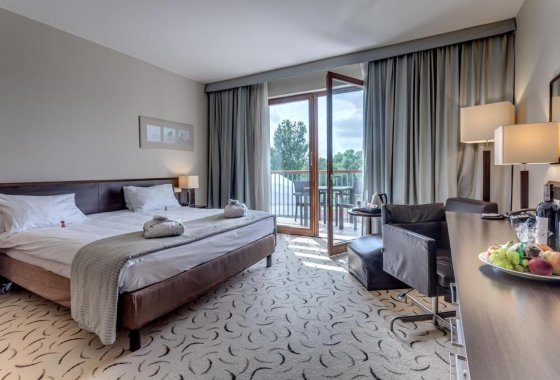 hotel **** - Holiday Inn Resort Warszawa Józefów - Pokoje - zdjęcie 1