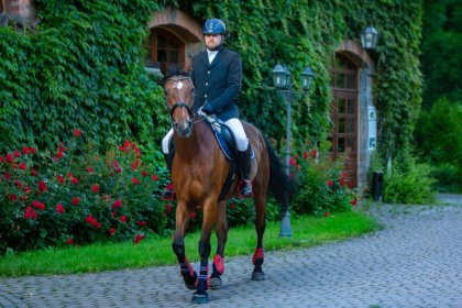 hotel ***** - Manor House SPA**** - Pałac Odrowążów***** - zdjęcie 43