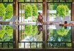 hotel ***** - Manor House SPA**** - Pałac Odrowążów***** - zdjęcie 35