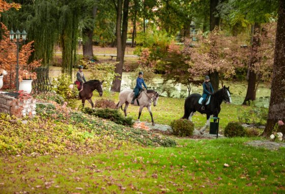 hotel ***** - Manor House SPA**** - Pałac Odrowążów***** - Usługi - zdjęcie 10