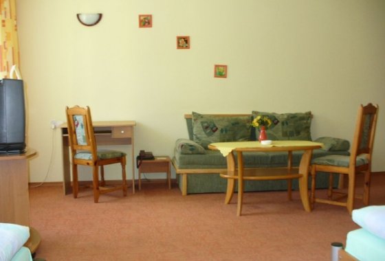 hotel - Leśny - Pokoje - zdjęcie 1