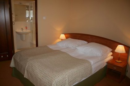 hotel *** - Hotel Eden - zdjęcie 9