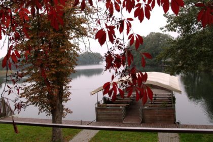 obiekt konferencyjny - Restauracja Pod Basztą - zdjęcie 3