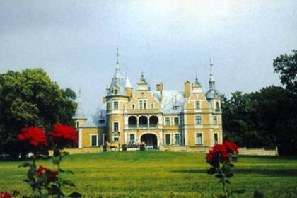 pałac - Pałac w Kobylnikach - zdjęcie 2