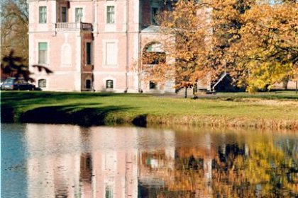 pałac - Pałac w Kobylnikach - zdjęcie 3