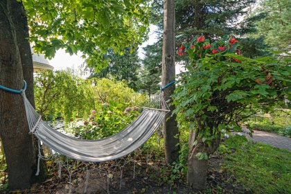hotel **** - Hotel**** Solar Palace SPA & Wellness - zdjęcie 12