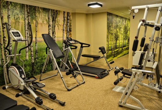hotel **** - Hotel**** Solar Palace SPA & Wellness - Usługi - zdjęcie 11