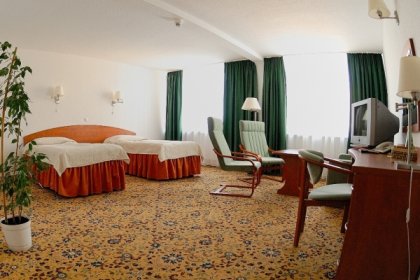 hotel *** - Hotel Brda - zdjęcie 2