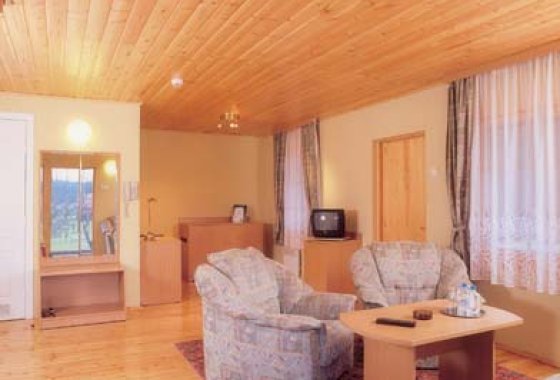 hotel **** - Hotel Bukowy Dworek - Pokoje - zdjęcie 2
